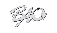 Логотип BAO 